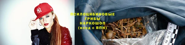 a pvp Баксан