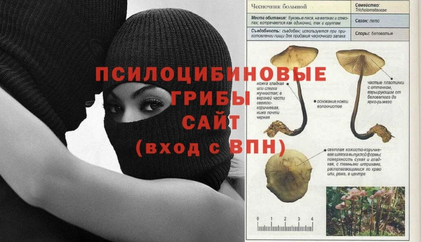 jwh Аркадак
