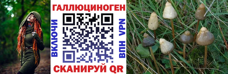 закладка  Суоярви  Галлюциногенные грибы мицелий 